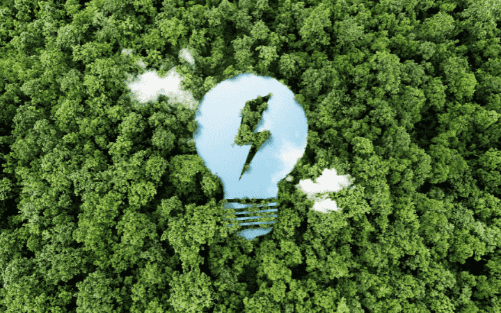 Gestão ambiental: bolsa de estudos, o que é, o que faz, onde trabalha, o que estuda e quanto ganha